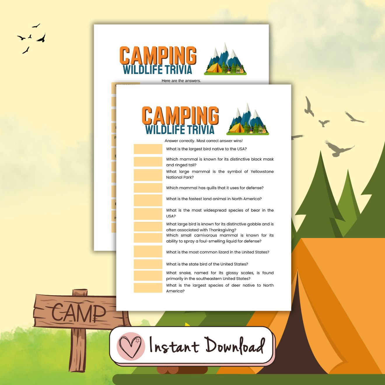 Camping Games And Activities Bundle For Kids And Families - Ten Games - #shop_name - Camping Games And Activities Bundle For Kids And Families - Ten Games - Big Heart Little Star -  -